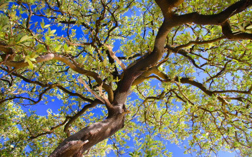 894180 (a): :2560x1600